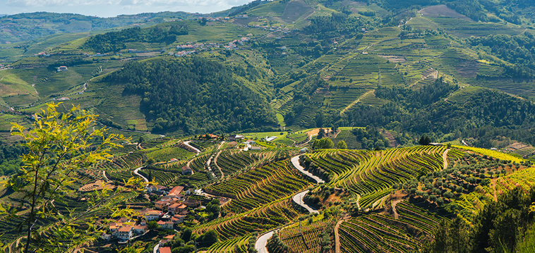As Curvas da Estrada Nacional 222 a mais bela estrada de Portugal N222